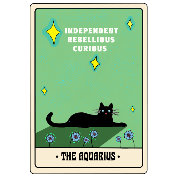 The Aquarius - Image 2