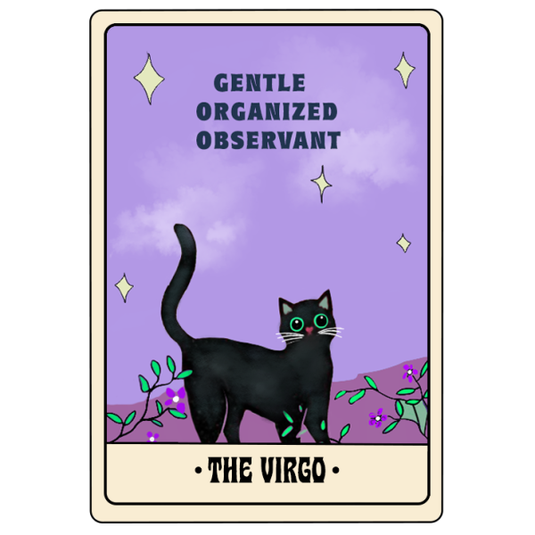 VIRGO - Image 7